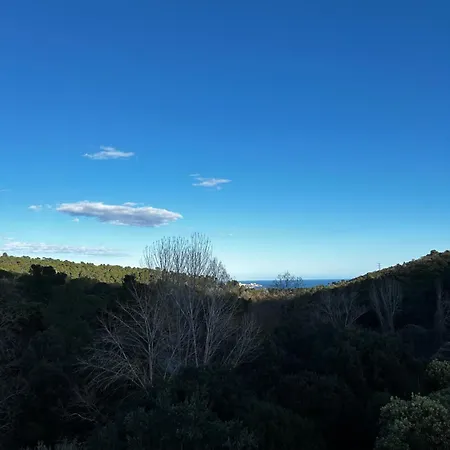 Platja Daro